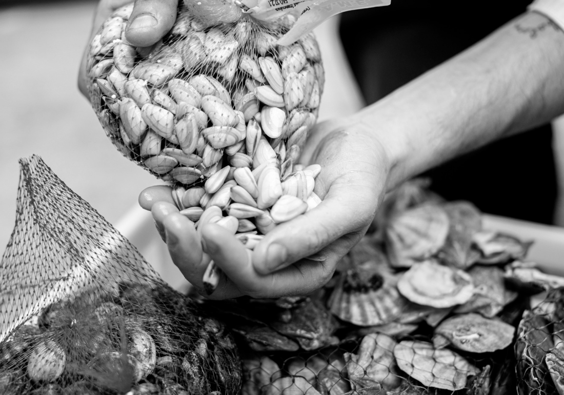 Ristorante Pesce Vicenza Longa di Schiavon La Veneziana